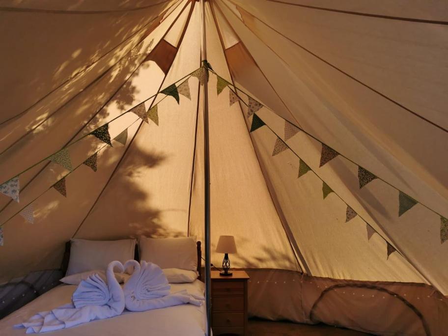 Wall Eden Farm - Luxury Log Cabins And Glamping Хайбридж Екстериор снимка