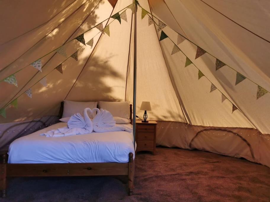 Wall Eden Farm - Luxury Log Cabins And Glamping Хайбридж Екстериор снимка