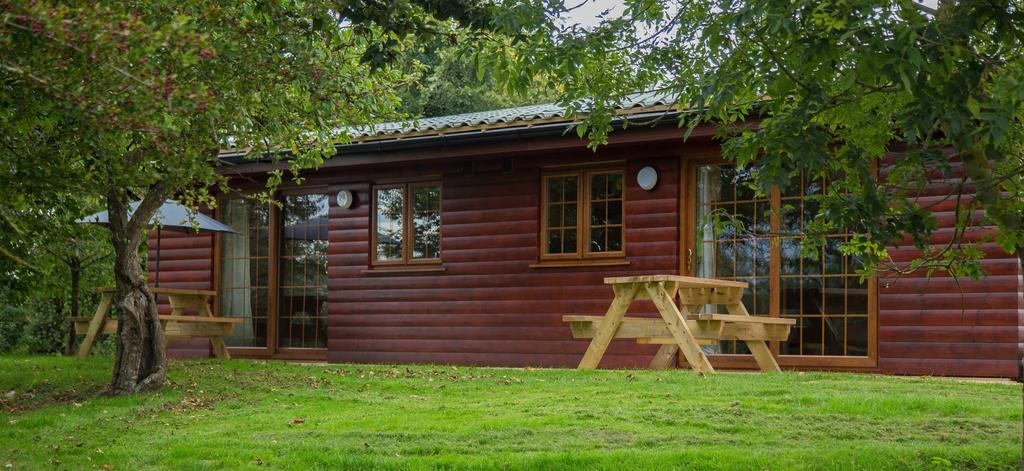 Wall Eden Farm - Luxury Log Cabins And Glamping Хайбридж Екстериор снимка